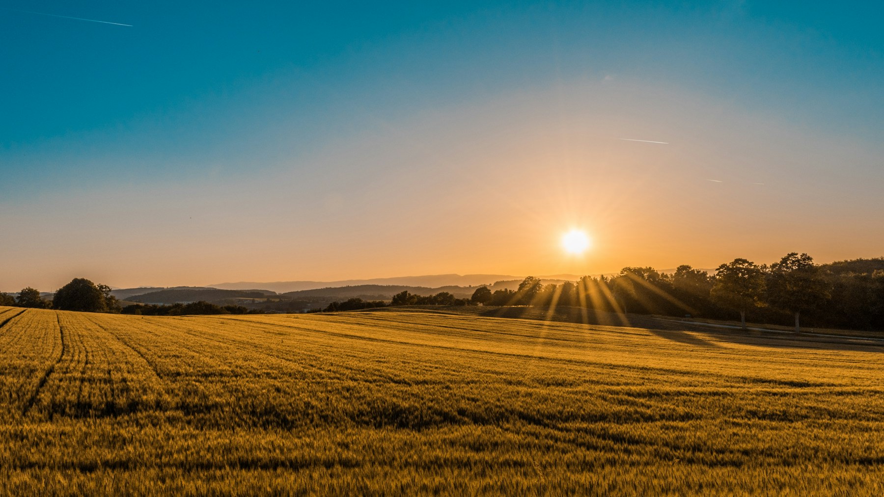 Golden fields rolling toward the valley ridgeline at sunset